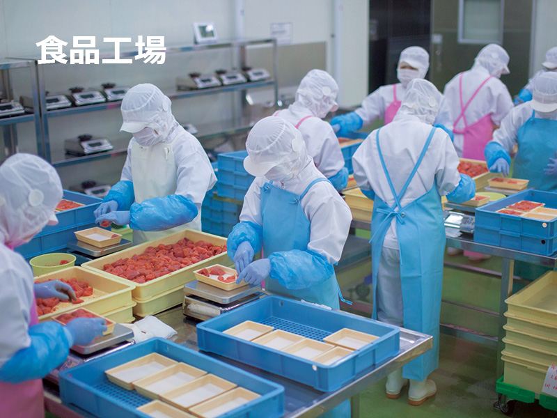 食品工場